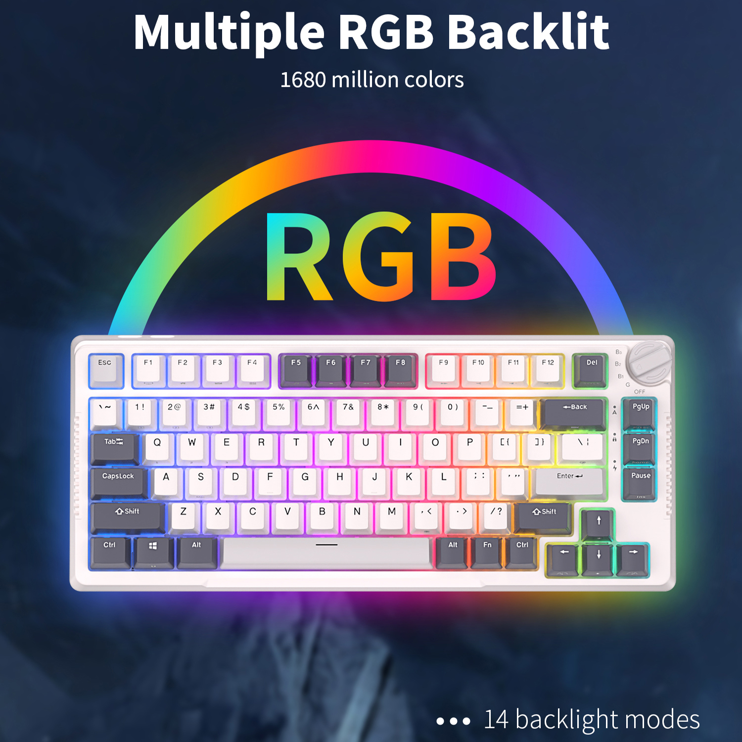 RK H81 Royal Kludge Gasket Str - Gaming Keyboard Bundle review and price